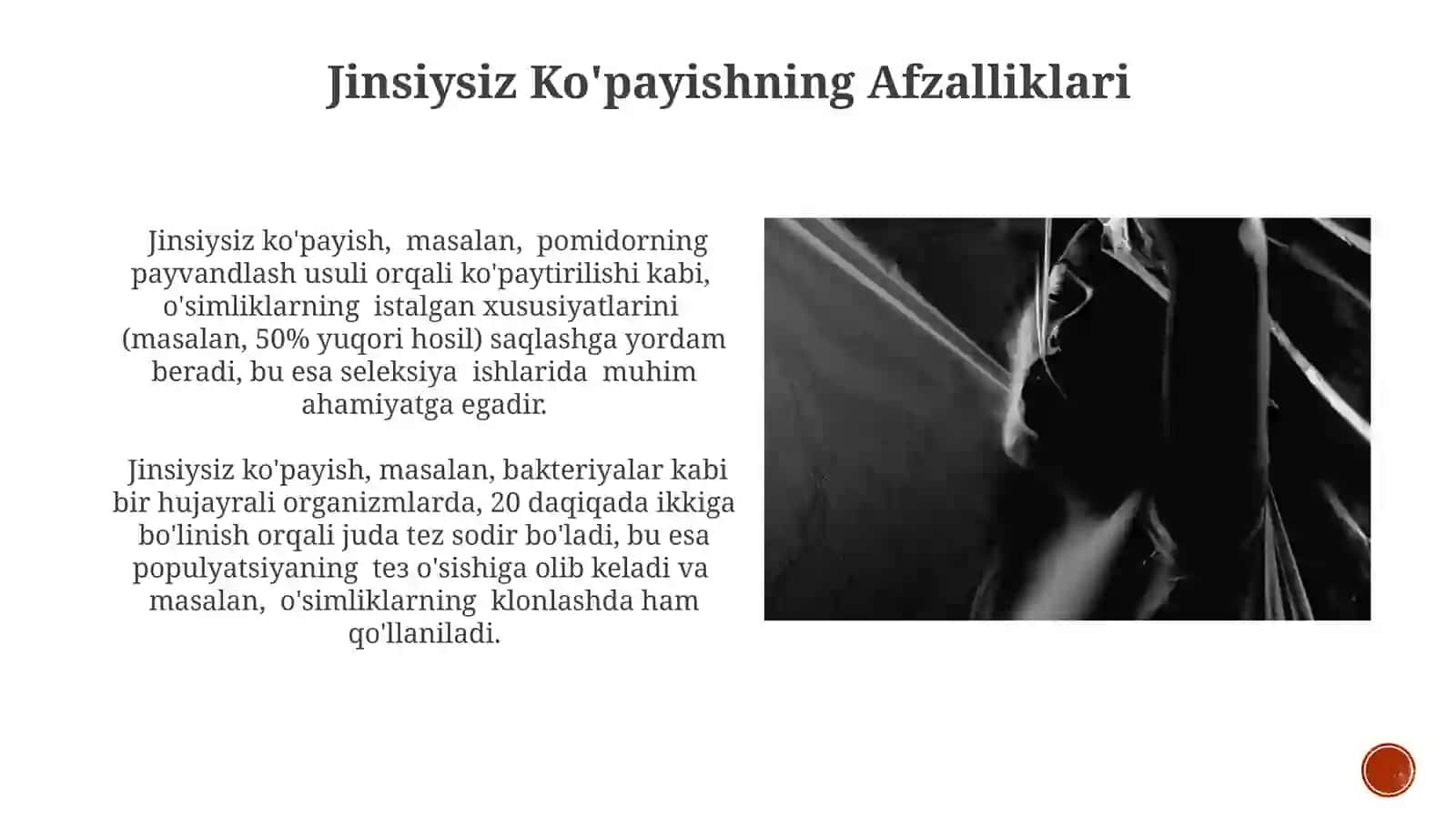 Jinssizvajinsiykoʻpayishi 3
