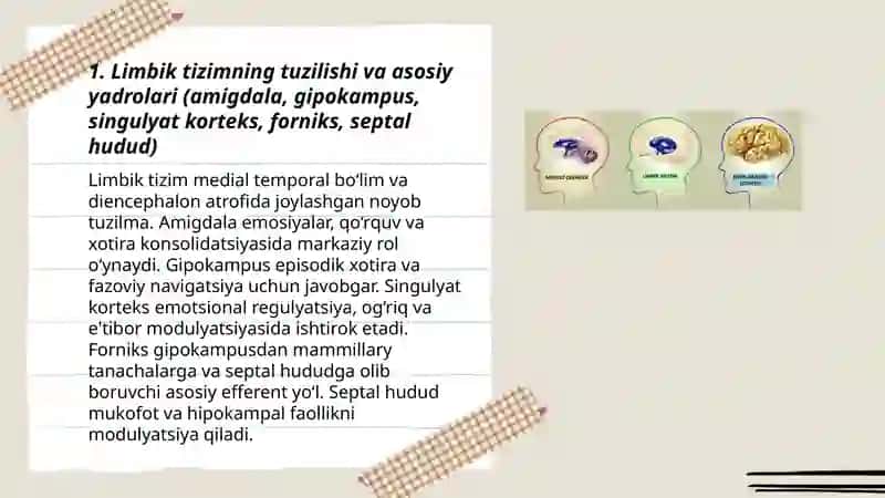 Limbik tizimi faoliyati. Gipotalam va ipofizar tizim 3