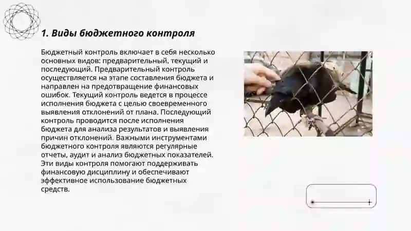 Формы бюджетного контроля 3