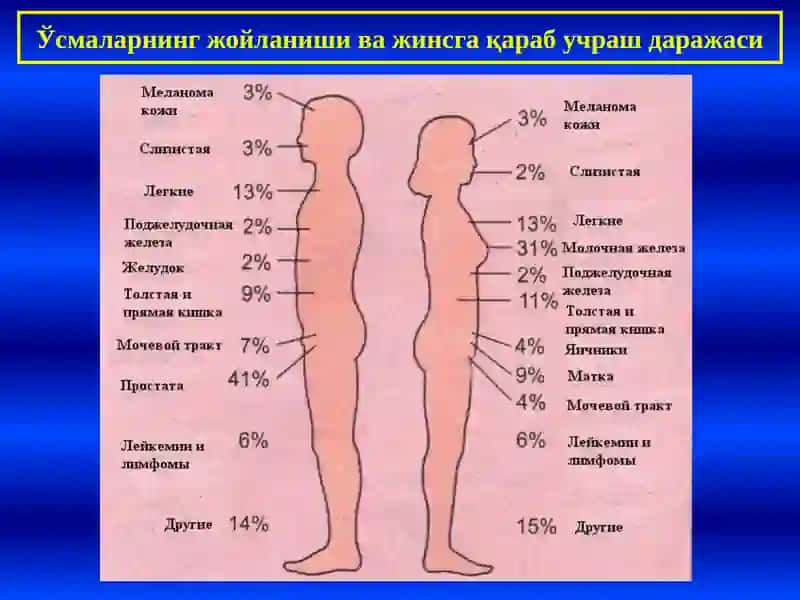 ЎСМАЛАР 3