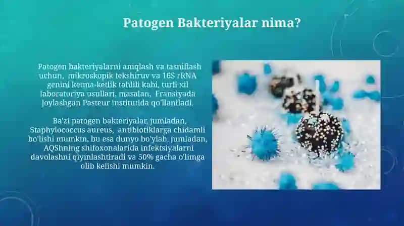 Patogen Bakteriyalar: Umumiy Tasavvur 3