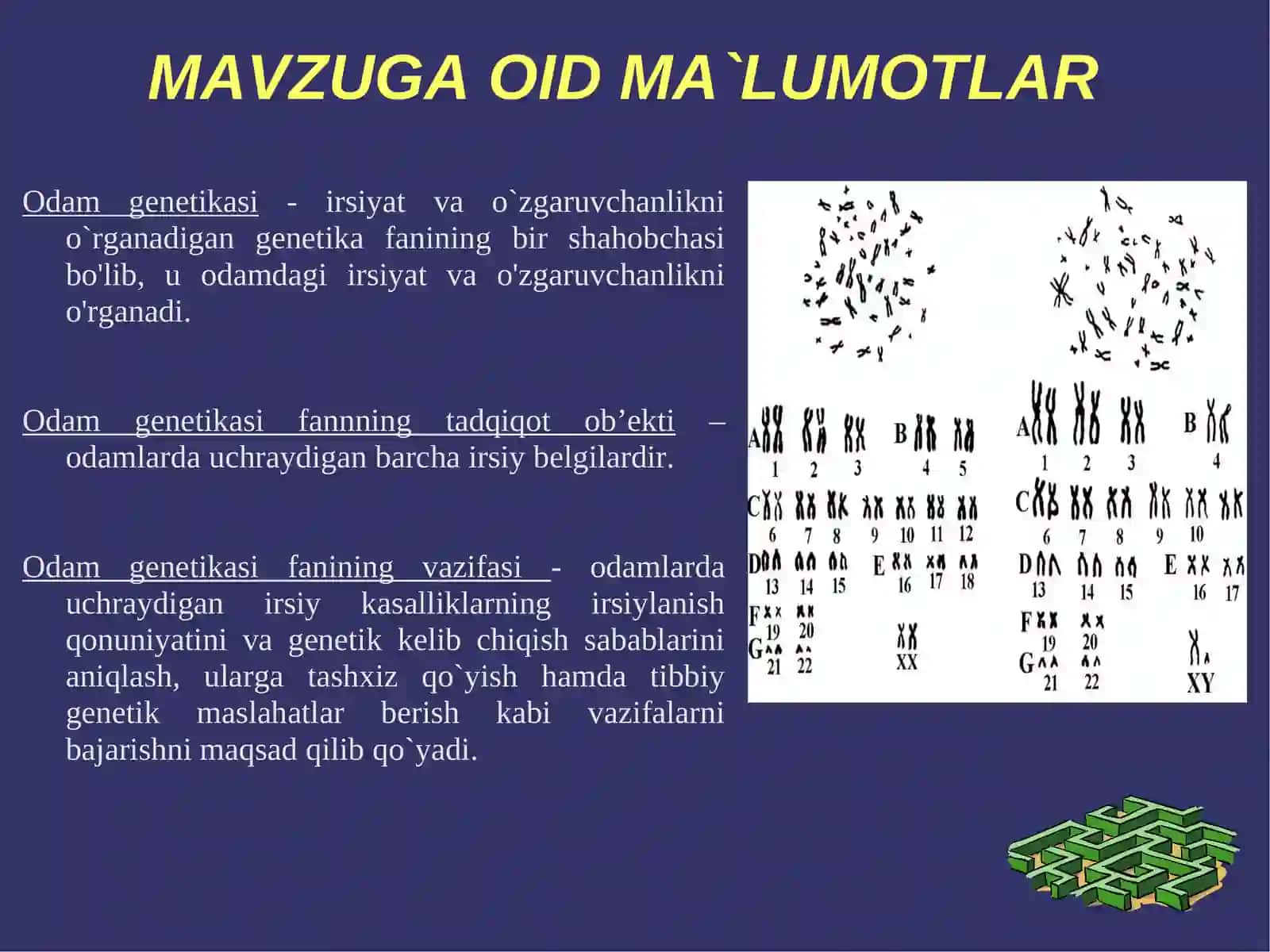 Odam genetikasi fanining predmeti va mazmuni 3