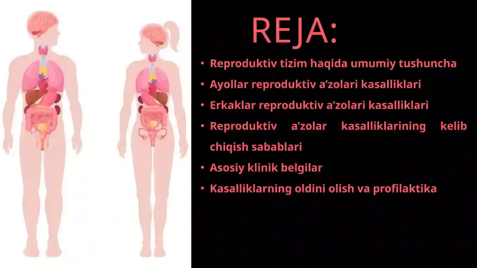 Reproduktiv tizim va kasalliklari 3