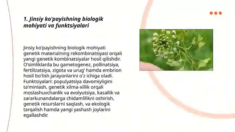 O'simlik jinsiy ko'payishining kelib chiqishi va xillari 3