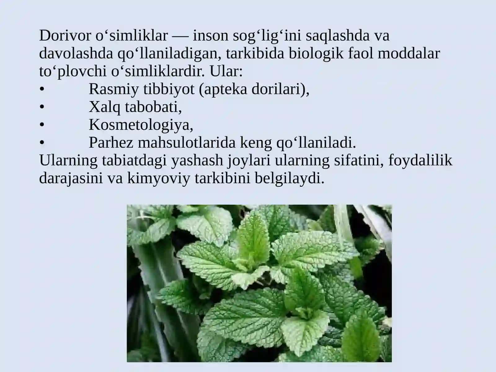 Dorivor o‘simliklar va ularning yashash muhiti 3