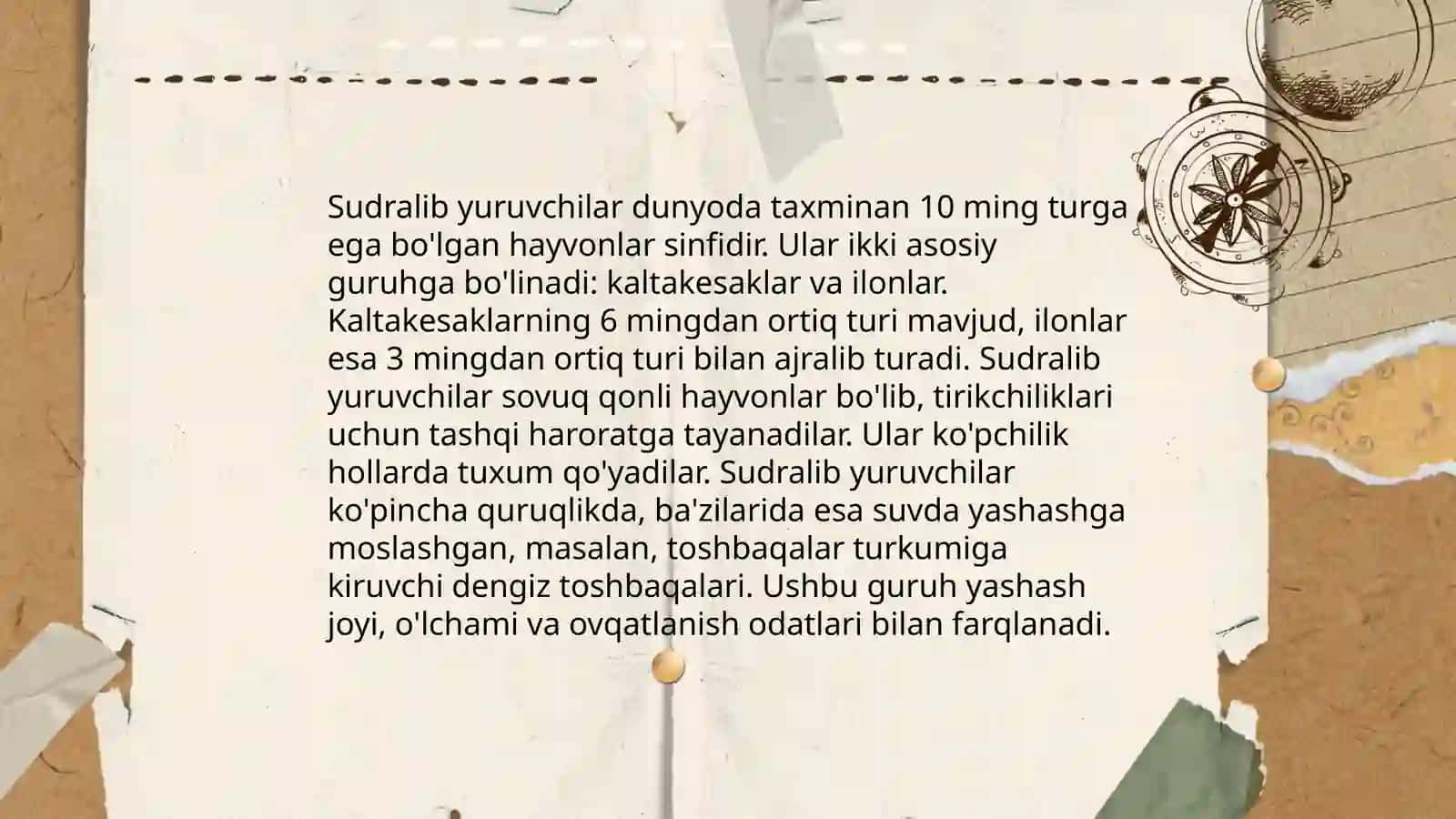 Sudralib yuruvchilar 3