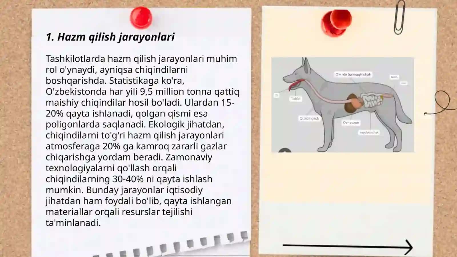 Hazm qilishning turlari va hazm qilish sistemasining fermentlari 3