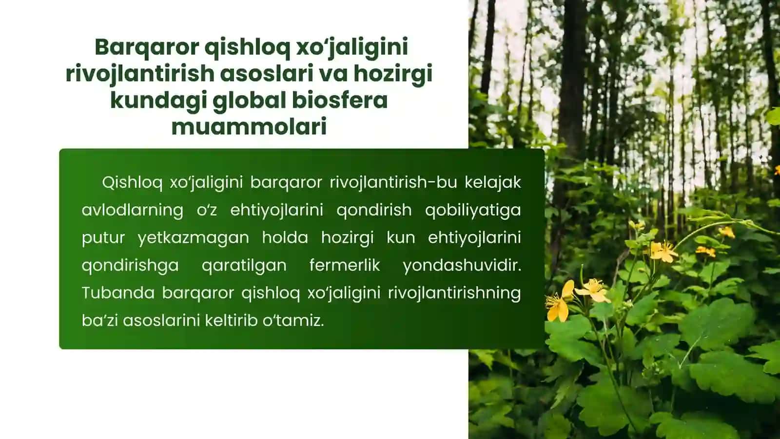 QISHLOQ XOʻJALIGIVA BIOSFERA MUAMMOLARI. OZIQ-OVQAT XAVFSIZLIGIGA ERISHISH VA BARQAROR QISHLOQ XOʻJALIGINI RIVOJLANTIRISH ASOSLARI 3