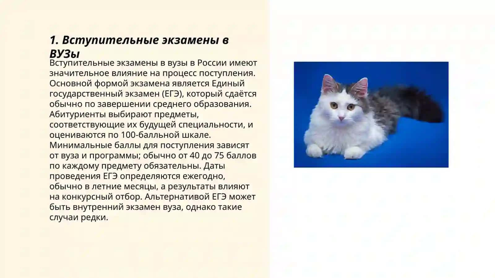 Вступительные экзамены в ВУЗы 3