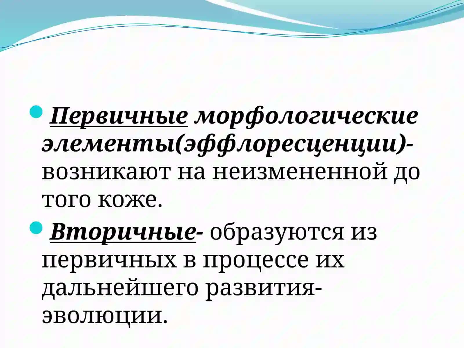 Морфологические элементы кожной сыпи 3