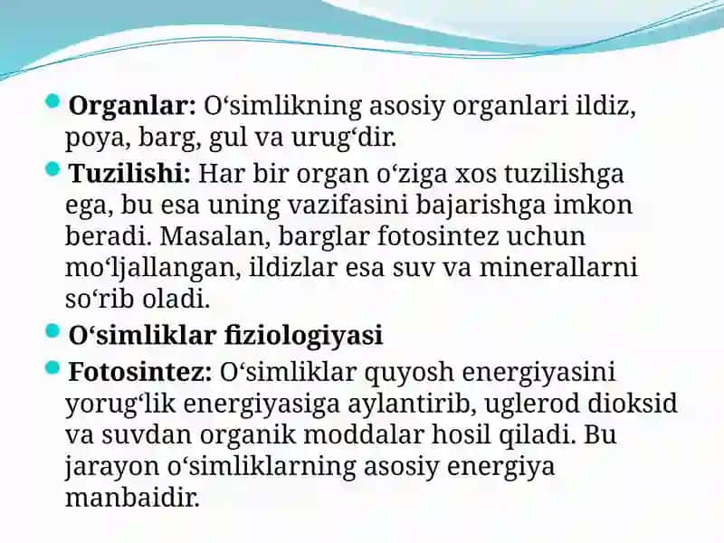 O’simliklar anatomiyasi va fiziologiyasi 3