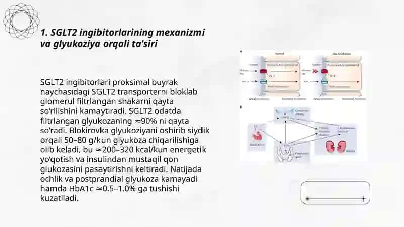 SGLT2 INGIBITORLARI 3