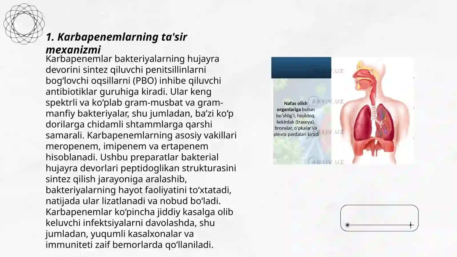Karbapenemlar ta'sir mexanizmi 3