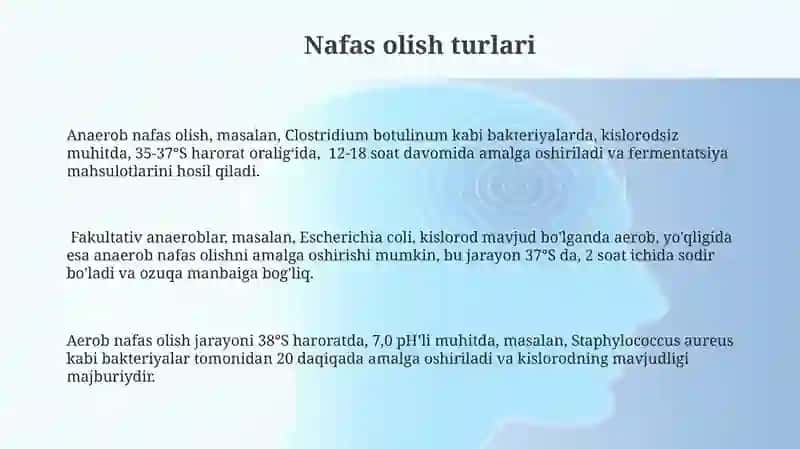 Mikroorganizmlar fiziologiyasi: nafas olish, oʻsish va koʻpayish 3