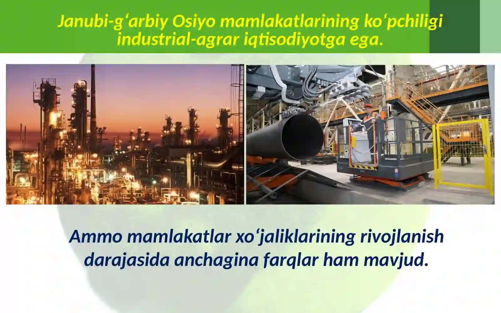 Janubi-g‘arbiy Osiyo xo‘jaligi, transporti, ichki tafovutlari 3