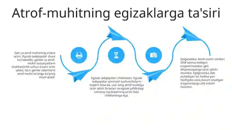 Egizaklar Usuli, Gen Va Atrof-Muhit Bir-Biriga Ta’Siri 3