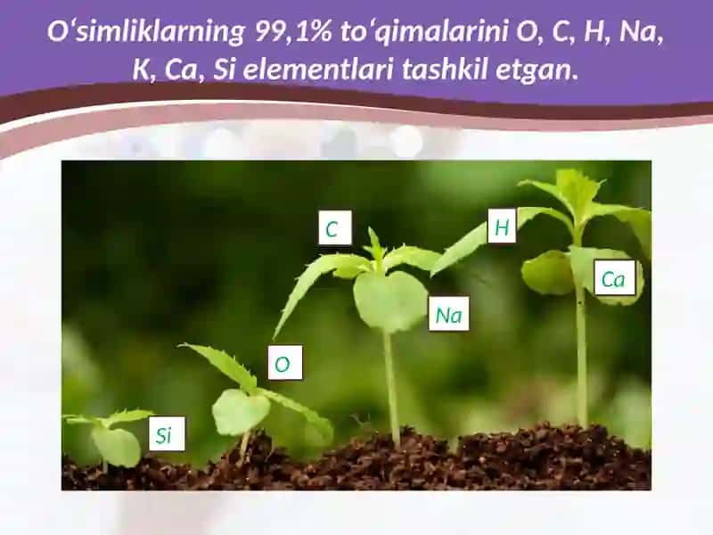 Odam organizmi damakro va mikro elementlar 3