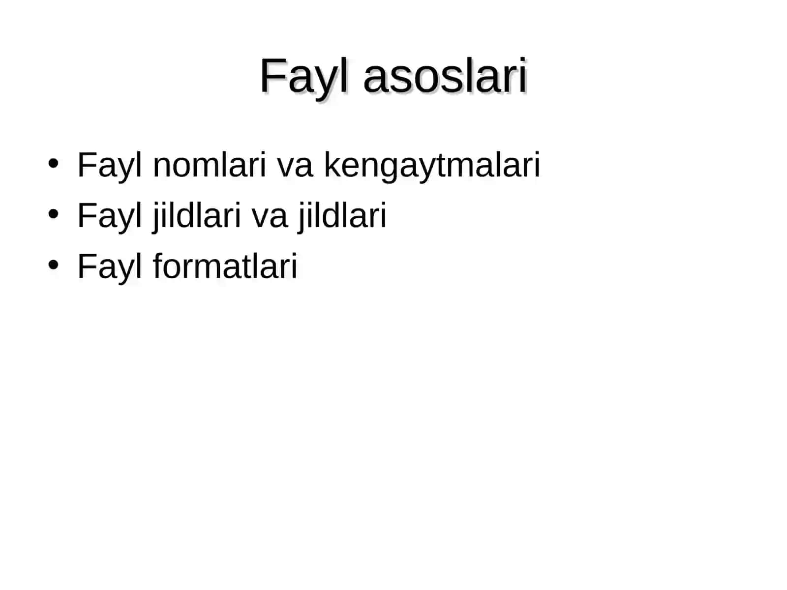 Operatsion tizimlarda fayl tizimlari 3