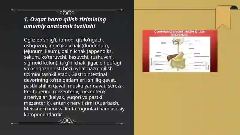 Ovqat hazim qilish tizimining anatomiyasini o'rganish 3