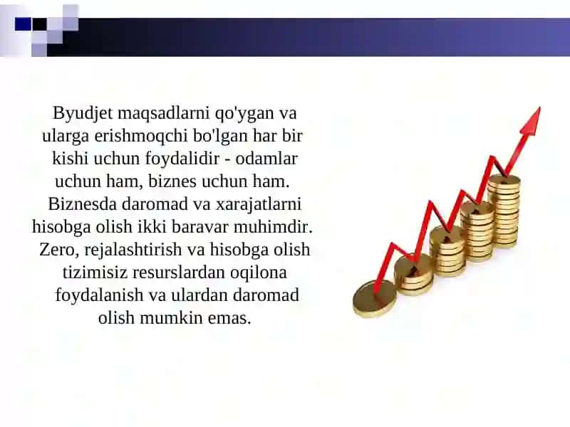 Korxona byudjeti tushunchasi, maqsad va vazifalari 3