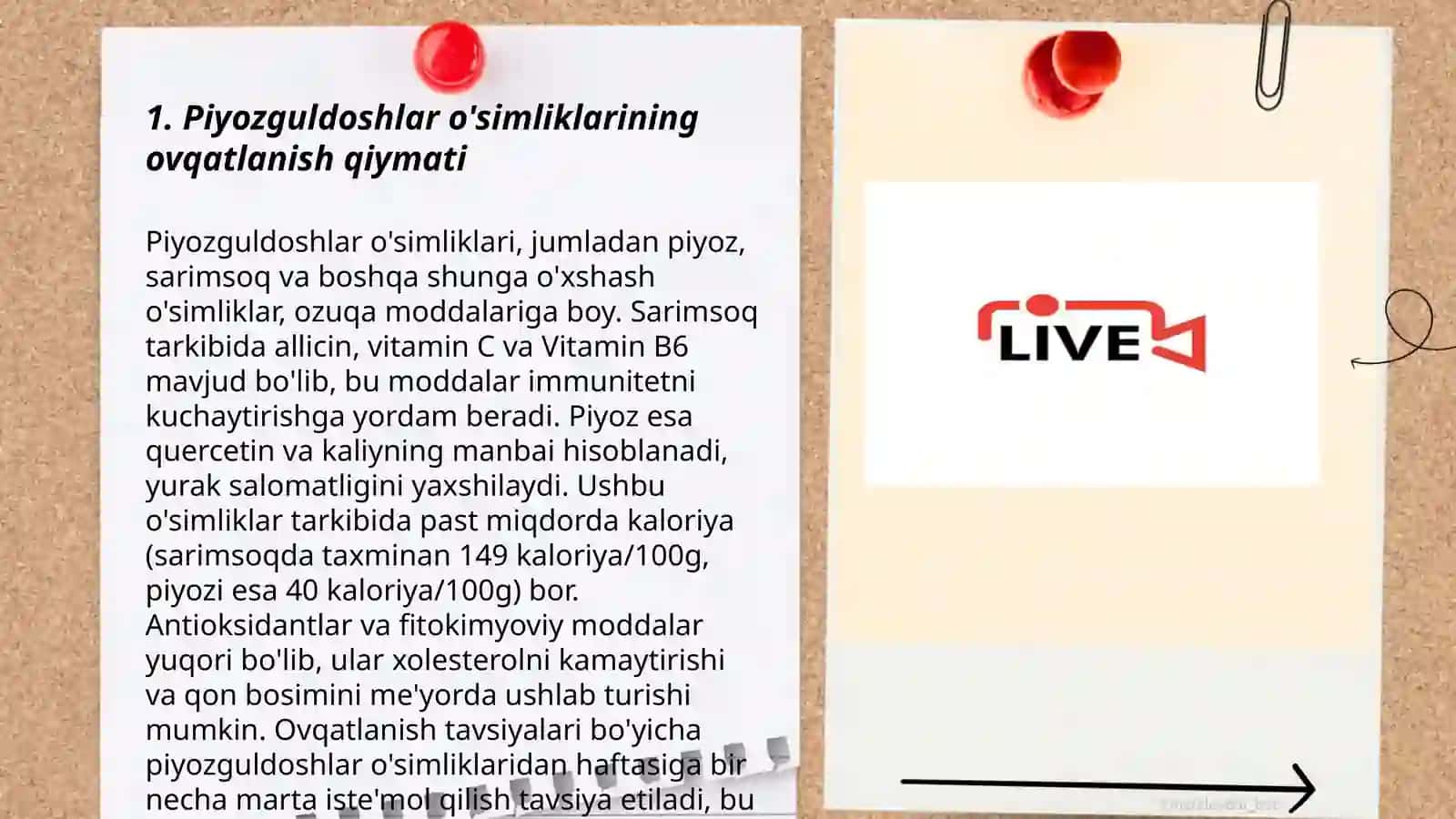 Piyozguldoshlar oilasiga mansub oʻsimliklarning ozuqaboplik va shifo profilaktik bahosi 3