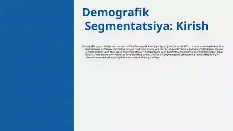 Demografik Segmentatsiya 3