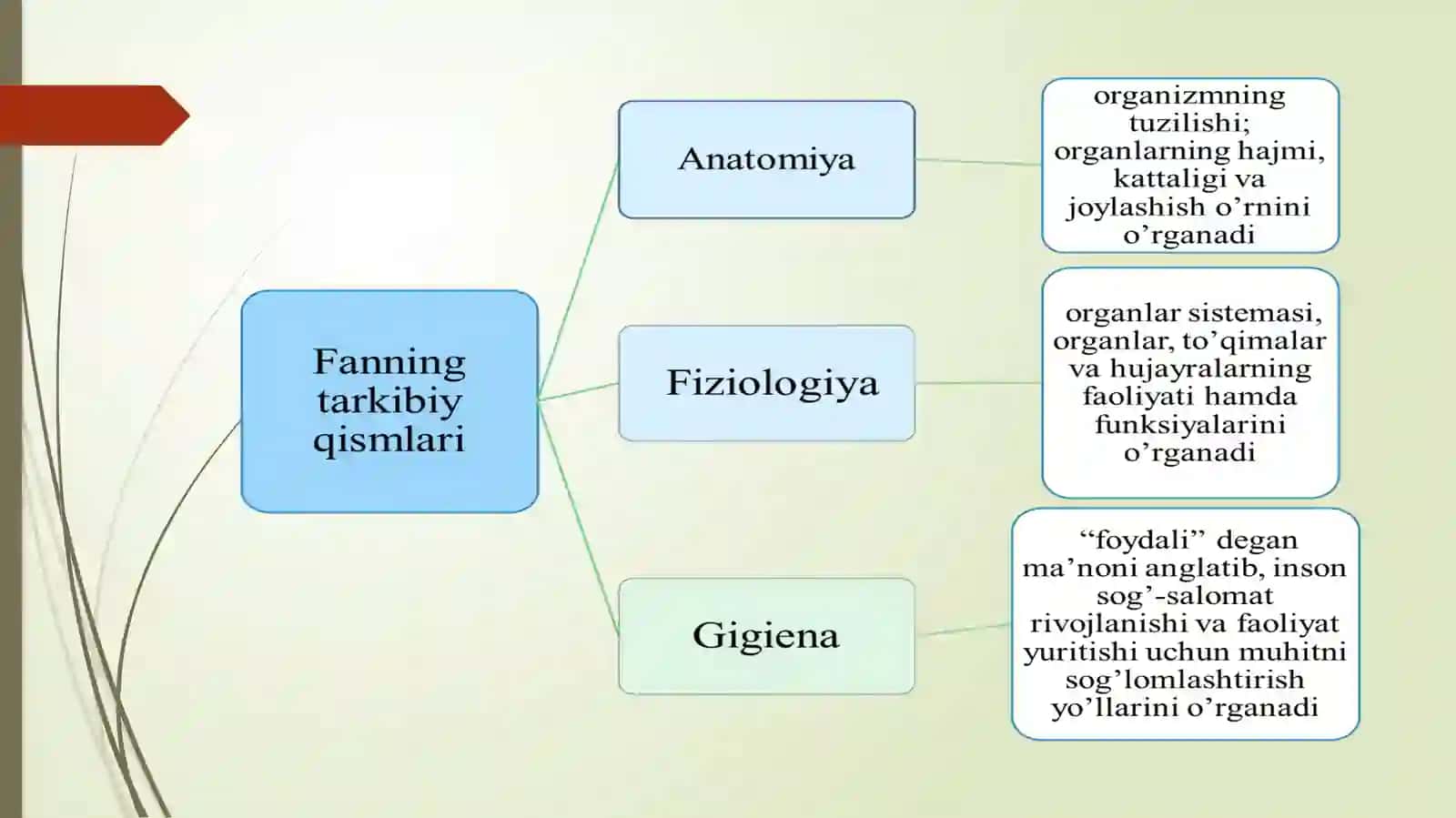 Yosh fiziologiyasi va gigiyena 3