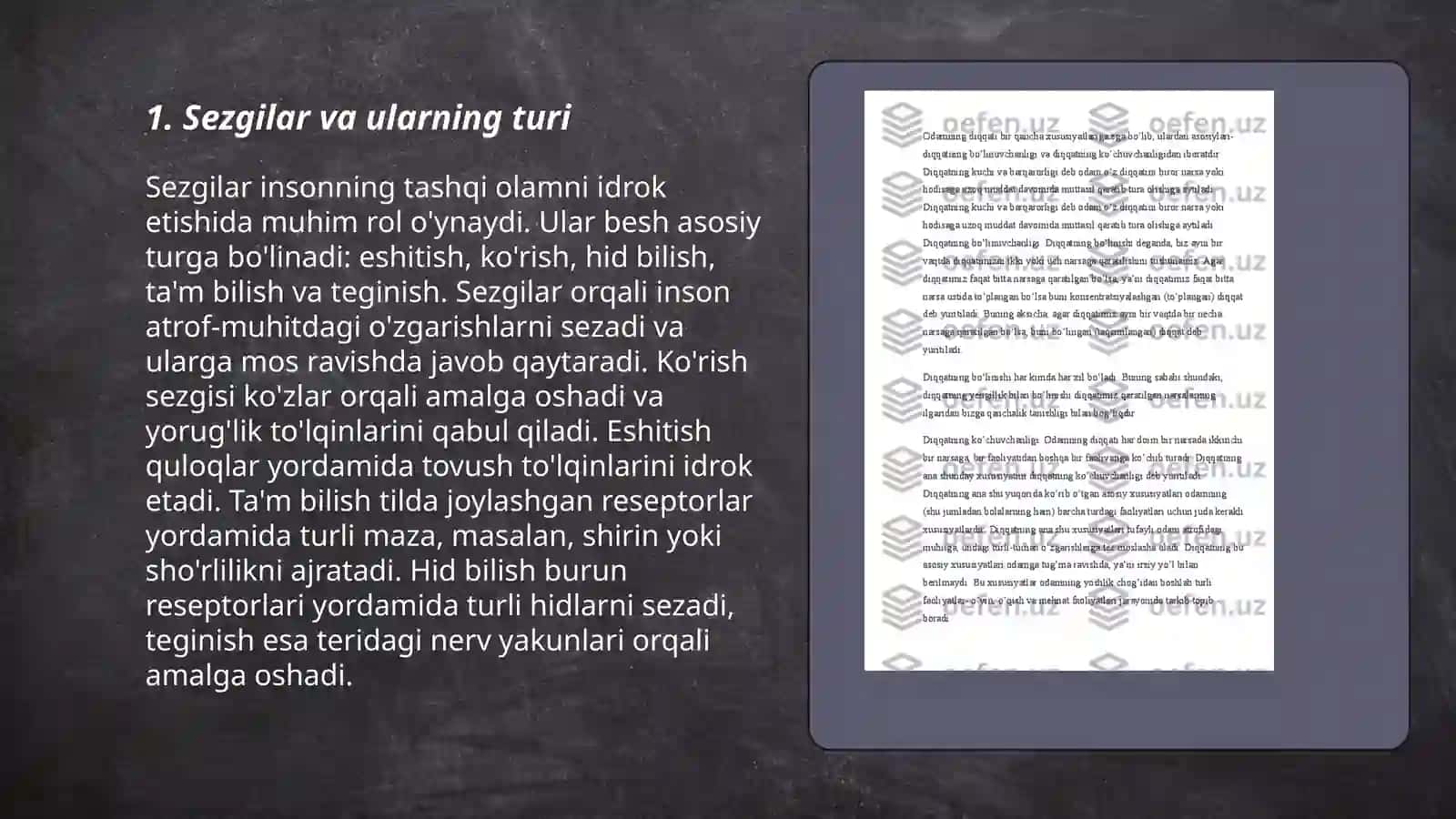 Sezgilar haqida umumiy tushuncha va uning nerv fiziologik asoslari 3