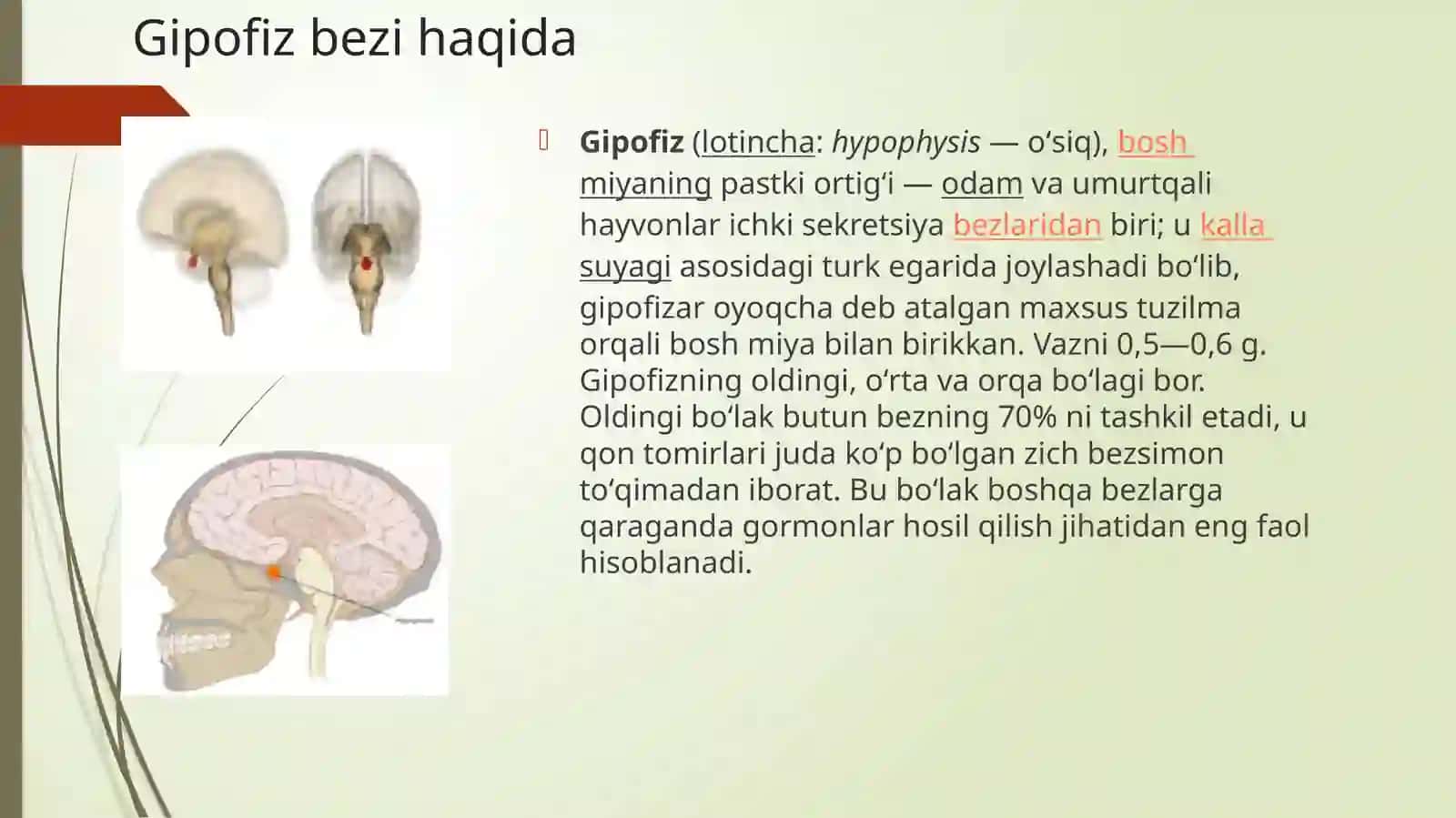 Yosh Fiziologiyasi va Gigiyanasi 3