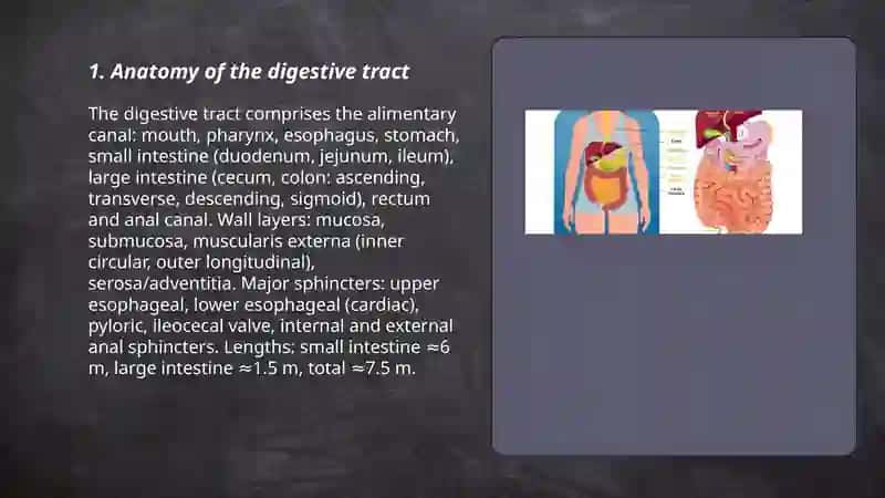 Digestion system 3