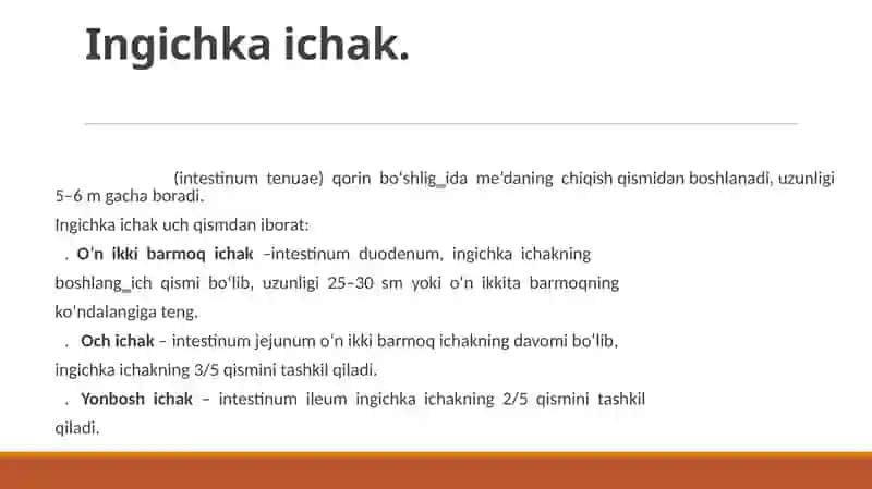 Ingichka ichak va uning operatsiyalari 3