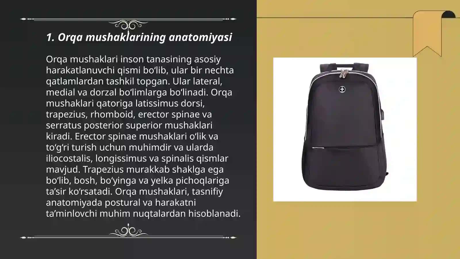 Orqa va koʼkrak mushaklari 3