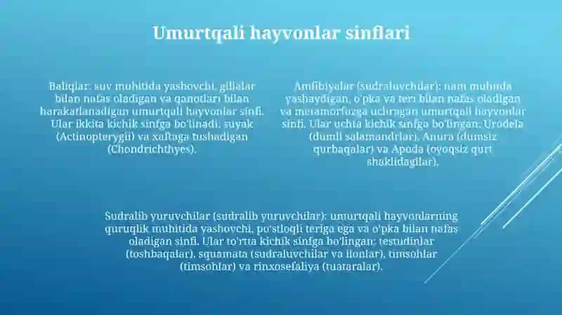 Umurtqalilar Kenja Tipining Umumiy Tavsifi Va Tasnifi 3