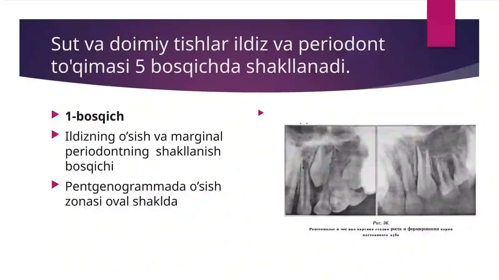 Sut tishlar periodont to’qimasi strukturasining bolalar yoshida o’zgarishi va ularda kechadigan periodontitlar klinik kechishi bilan bog'liqligi 3