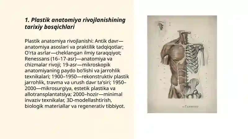 Plastik anatomiya rivojlanishining asosiy bosqichlari 3