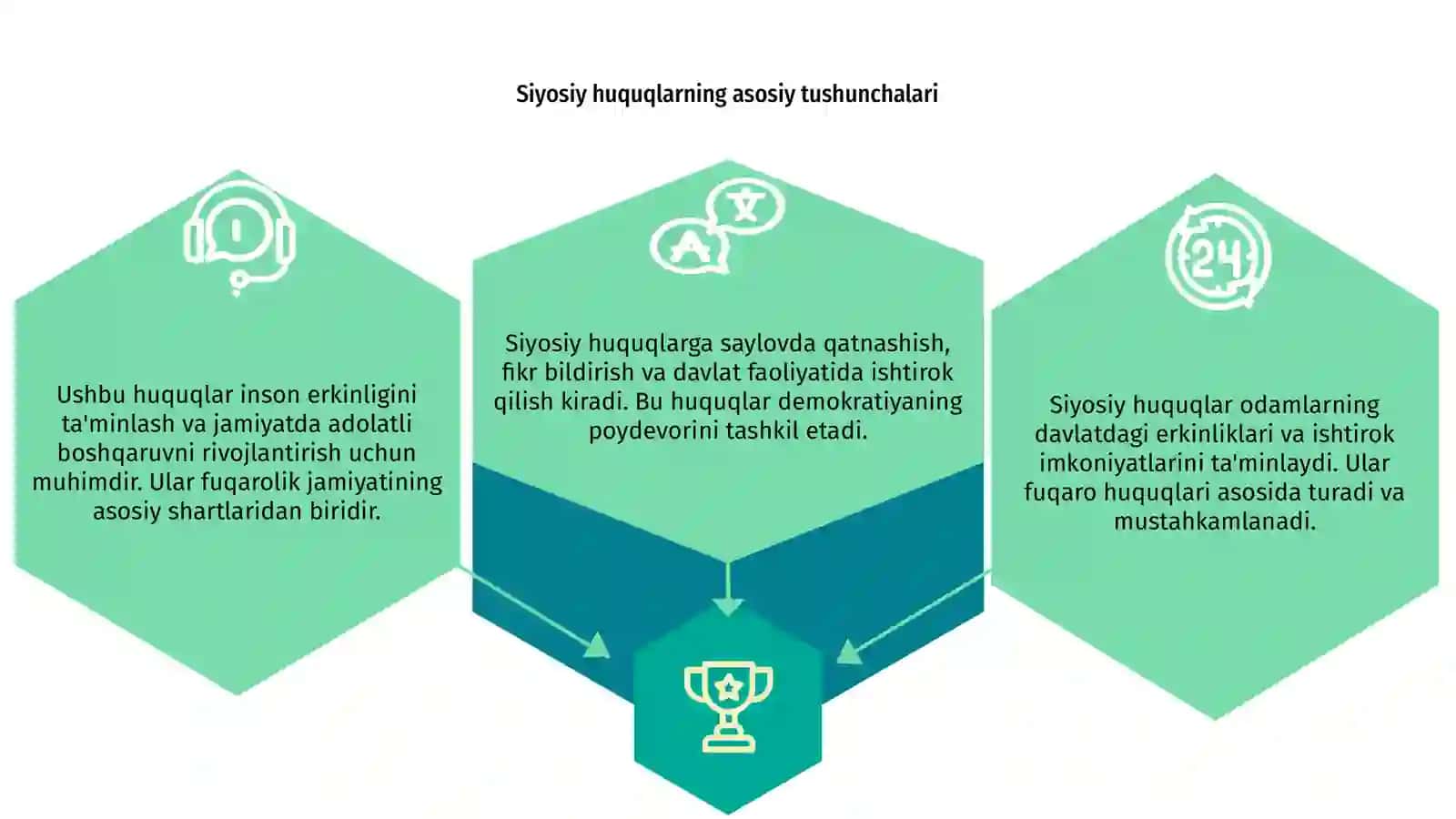 Siyosiy huquqlar 3