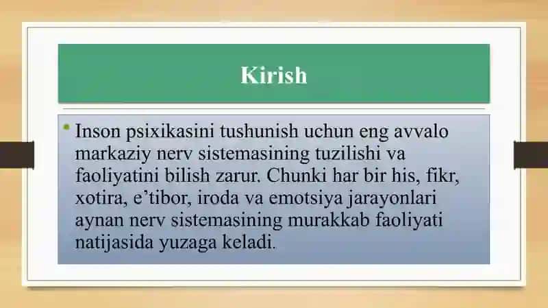 Markaziy nerv sistemasi 3