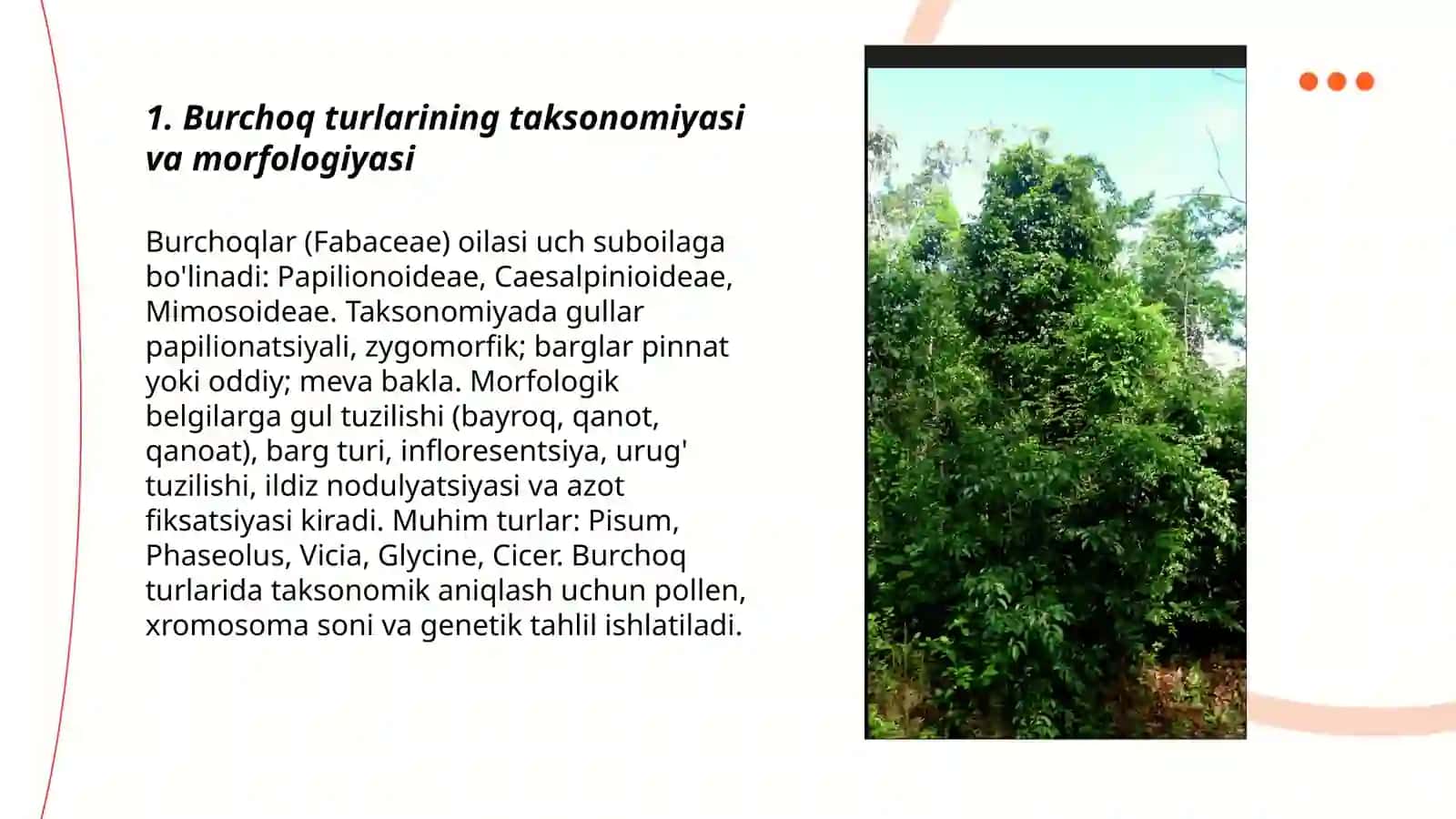Burchoq biologiyasi va yetishtirish texnologiyasi 3