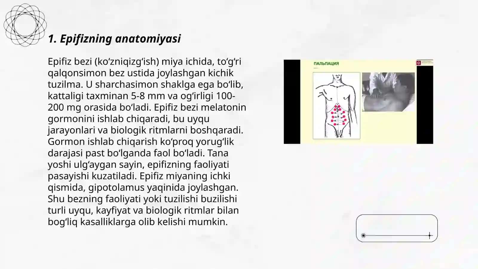 Ichki sekretsiya bezlarini tekshirish usullari. Epifiz 3