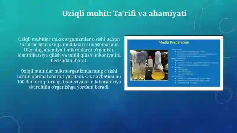 Oziqli muhitlar 3