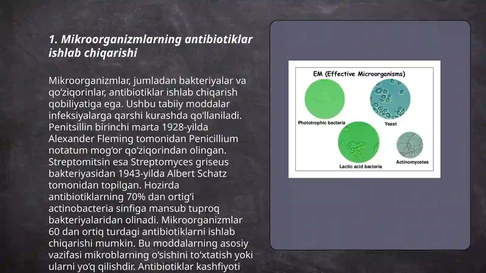 Mikroorganizmlarning antibiotik xususiyati 3