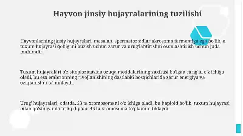 Hayvonlarda jinsiy hujayralarning tuzilishi tovuq embrionining taraqqiyoti reproduktiv sistema 3