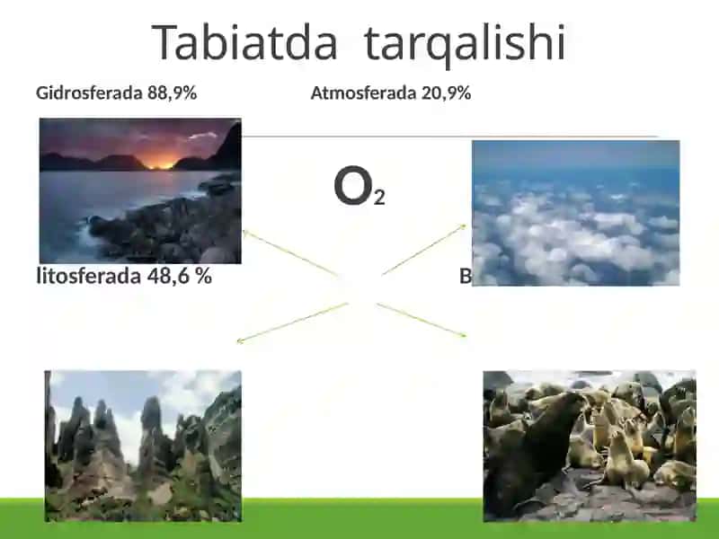 KISLOROD nitabiatda aylanishi 3
