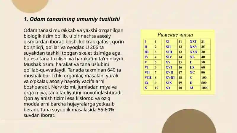 Odam va uning organlari tizimi tuzilishi va vazifalari 3