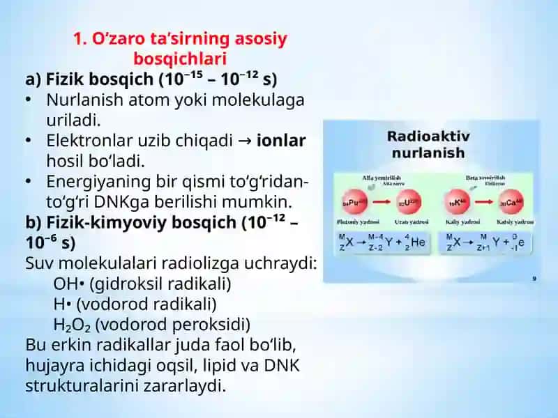 Ionlashtiruvchi nurlanishning biologik obyektlar bilan o’zaro tasiri 3