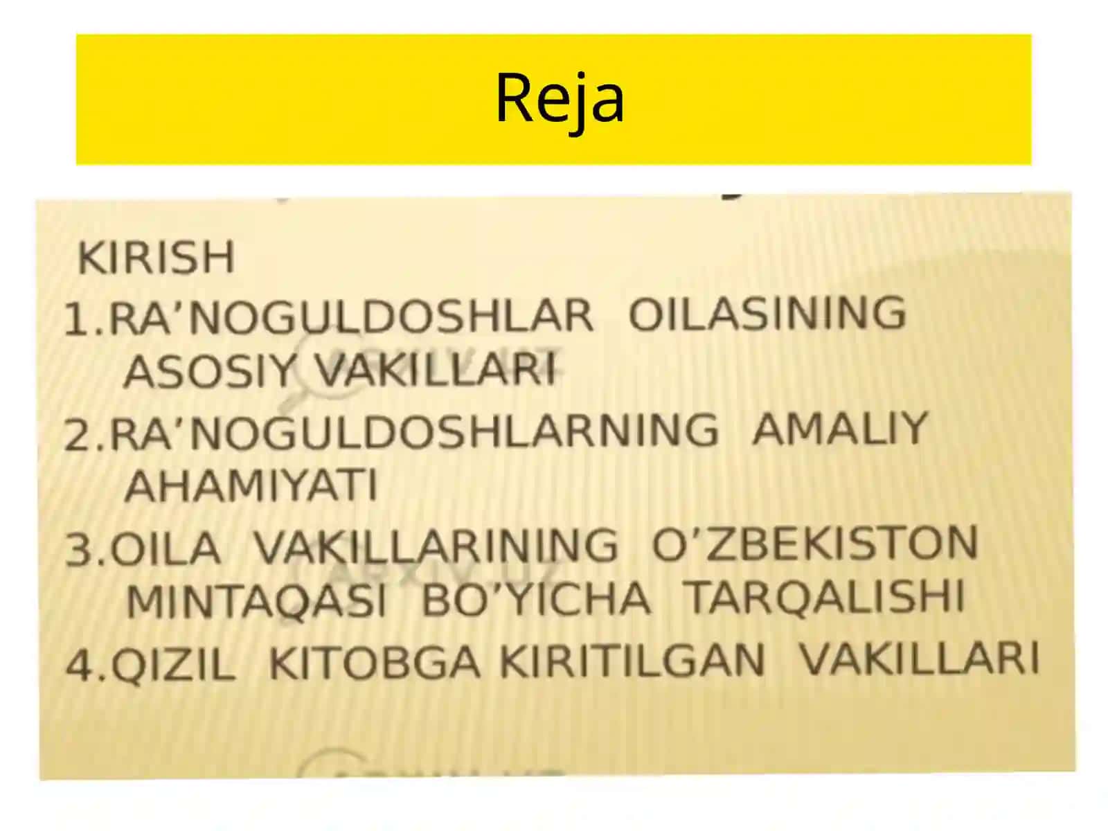 Ra'noguldoshlar oilasi 3