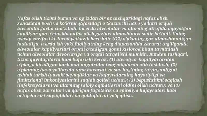 Nafas olish zanjiri. Makroenergitik birikmalarni sentezi 3