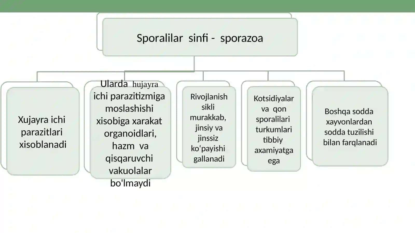 Sporalilar. Plazmodiy, 3 kunlik bezgak qo‘zg‘atuvchisi. Plazmodiy, 4 kunlik bezgak qo‘zg‘atuvchisi.Plazmodiy, tropik bezgak qo‘zg‘atuvchisi,Toksoplazma, toksoplazmoz kasalligini qo‘zg‘atuvchisi 3