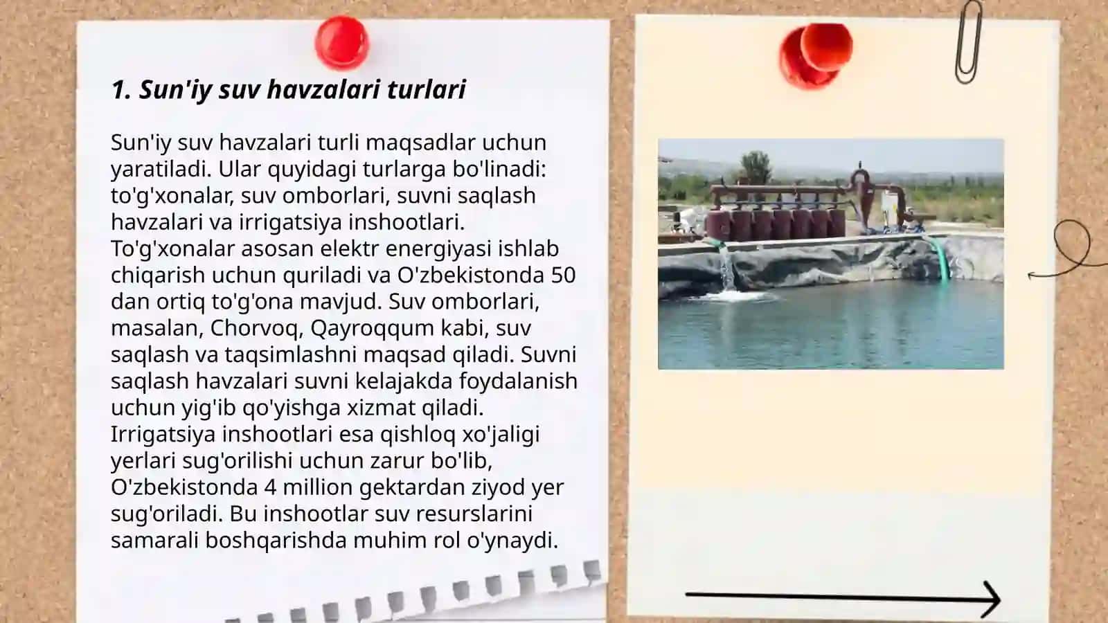 Sun'iy suv havzalar gidrobiotsenozlarining tasnifi bilan tanishish 3