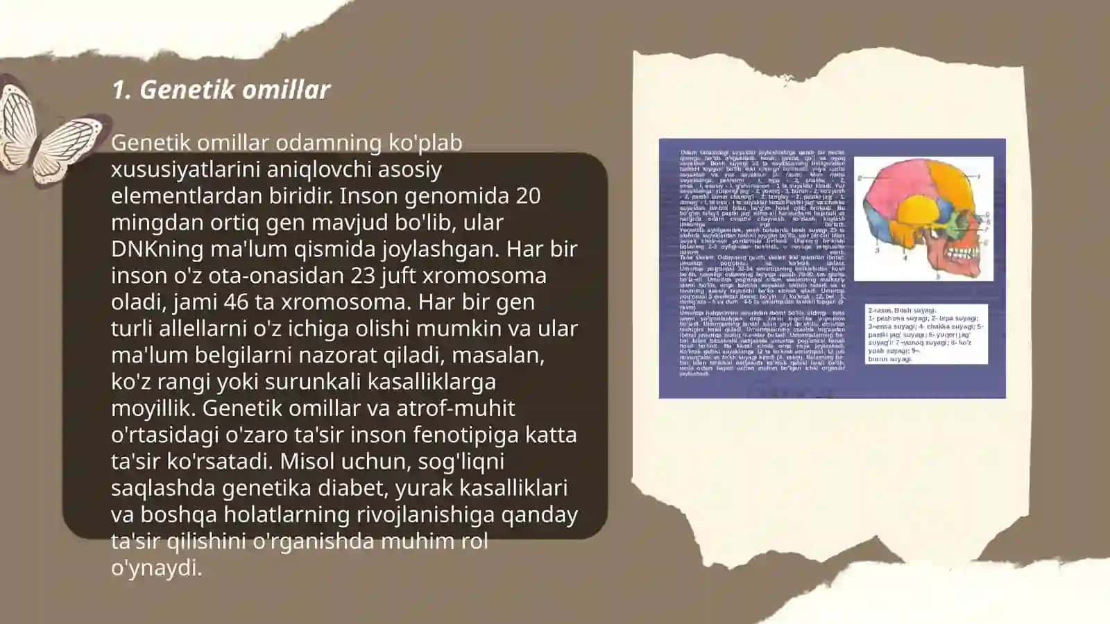 Tayanch harakat tizimi disfunksiyalarinig etiologiyasi 3